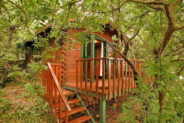 מרפסת דק עץ בתוך הטבע היפהפה של ארץ הגליל - אמירים קלאב