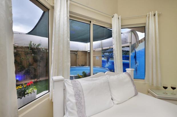 חדר השינה ומבט מהחלון אל הבריכה הפרטית - גולדן פלייס