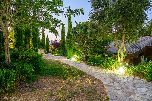 החצר היפה והמטופחת, עם עצי נוי וצמחים - Ahuzat Lev Ha-Horesh