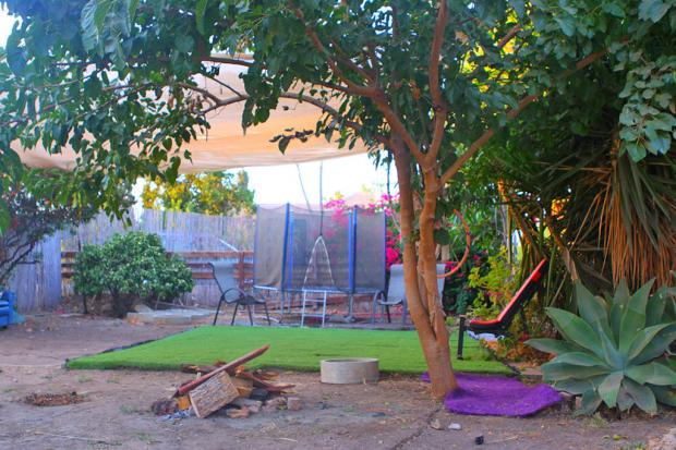 חצר דירת האירוח מלאת עציצים ועצי נוי - בית הולי