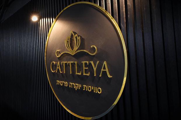 קאטליה סוויטה פרטית בעבדון - Cattleya