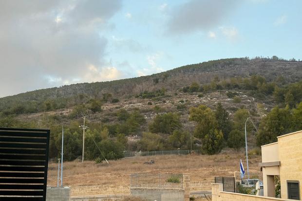 נוף להרי הגליל מהבריכה - טל גארדן בוטיק