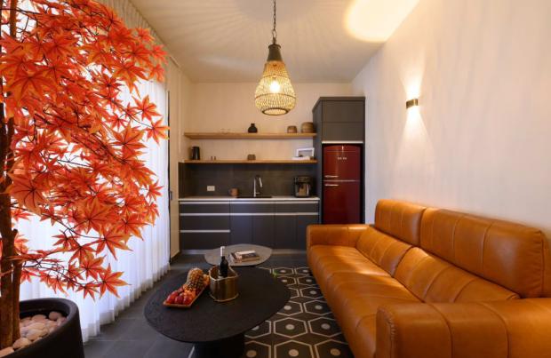 סלון מעוצב לצד מטבח מאובזר - בארות מזל