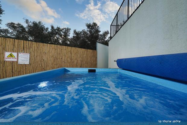 הבריכה עטופה בטבע ירוק הבריכה עטופה בטבע ירוק - סוויטת וארדה