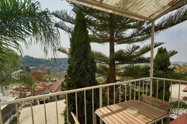 נוף חורש טבעי וירוק - נוף ליער