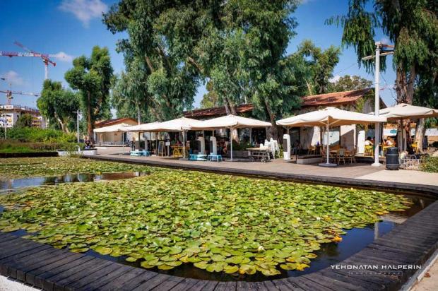 איזור מרכזי עם בתי קפה ומסעדות - צימר ספארק - סוויטת יוקרה